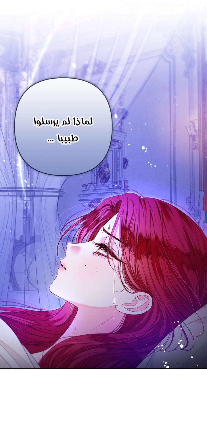 الصفحة 33