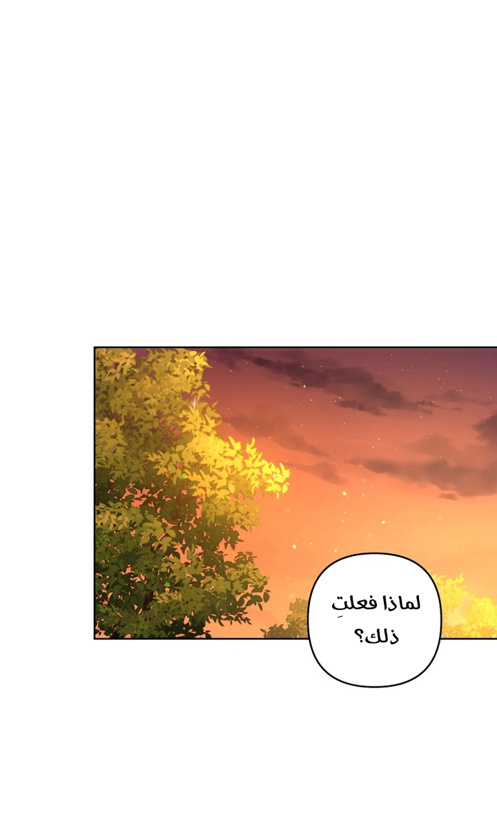 الصفحة 23