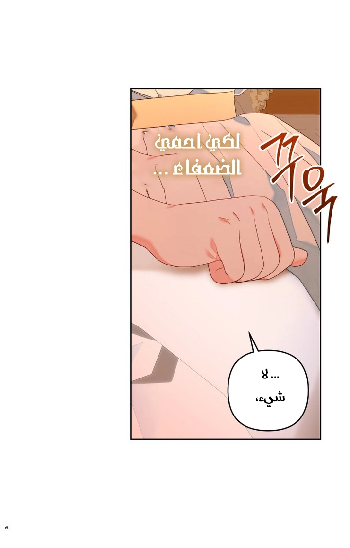 الصفحة 25