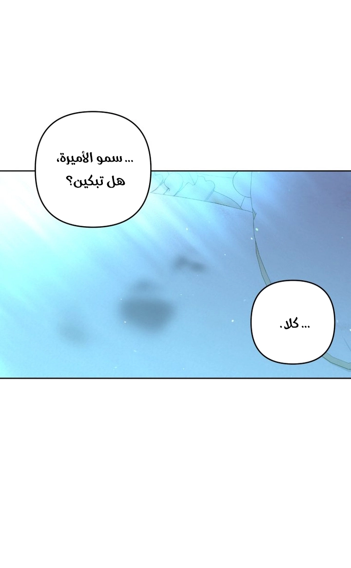 الصفحة 29