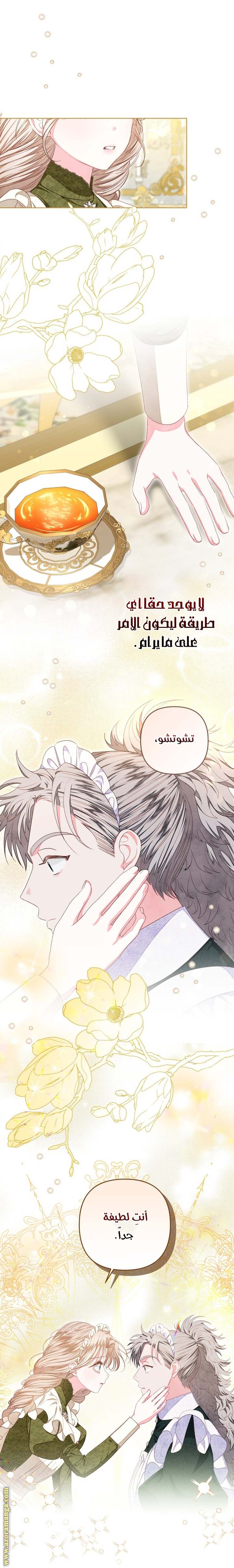 الصفحة 12