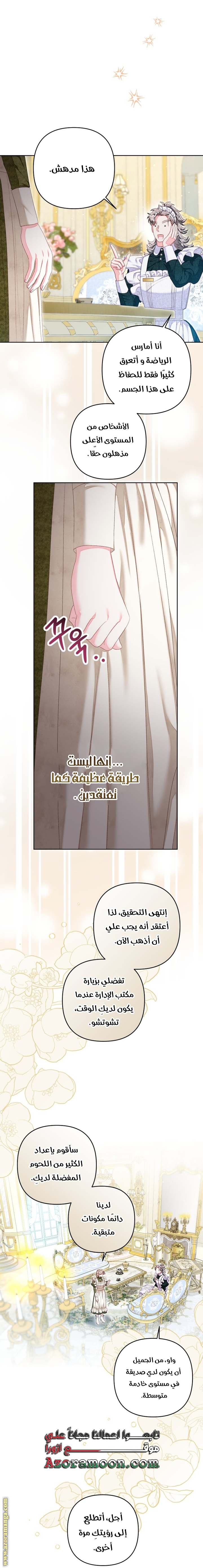 الصفحة 17