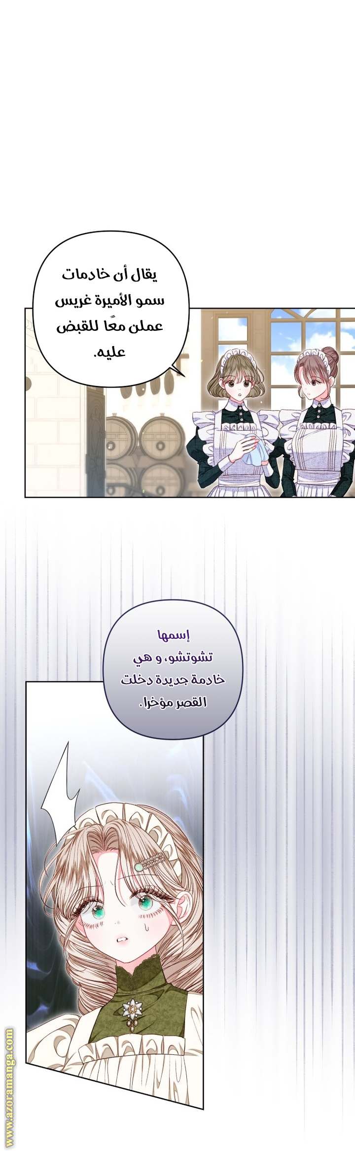 الصفحة 20