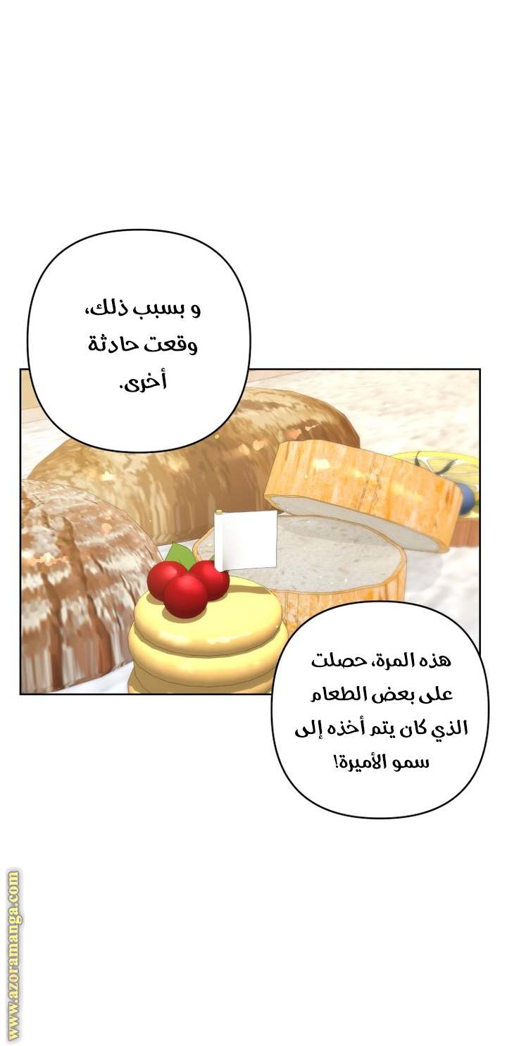 الصفحة 24