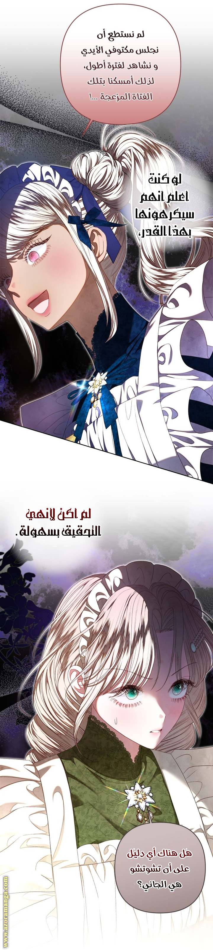 الصفحة 25