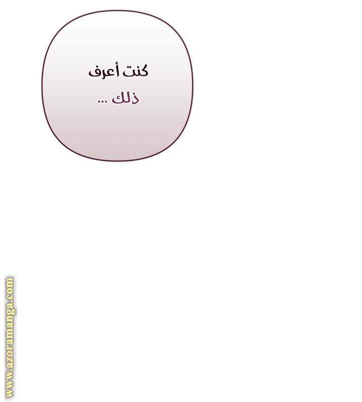 الصفحة 38