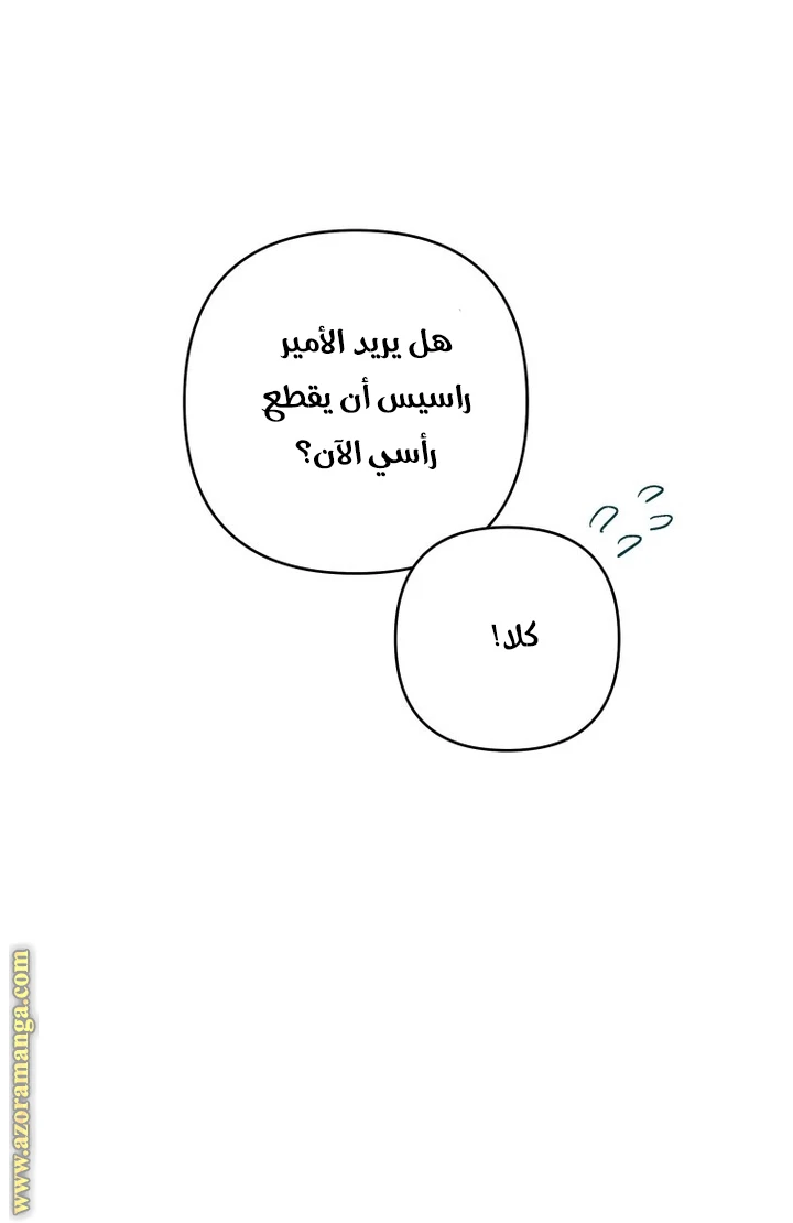 الصفحة 25