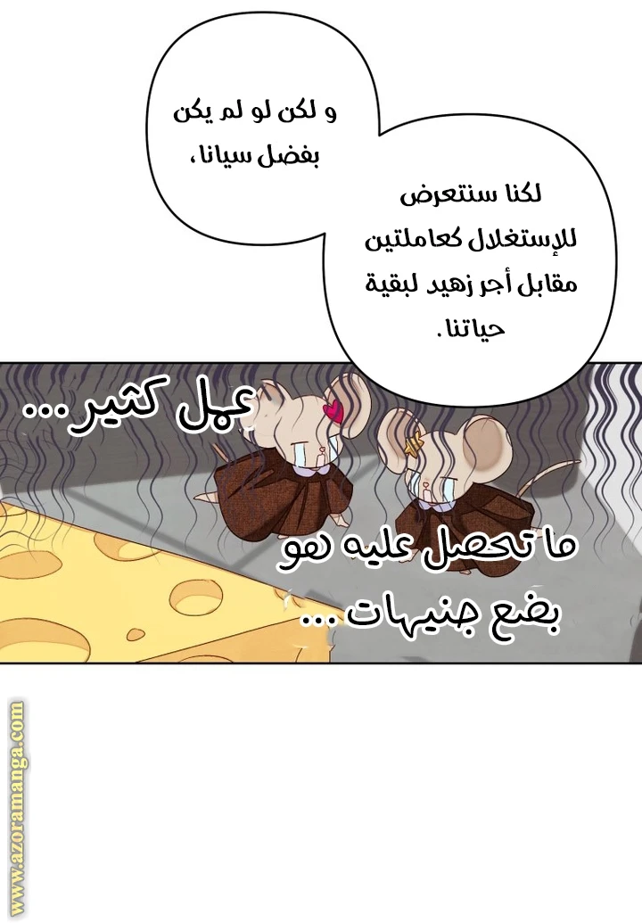 الصفحة 39