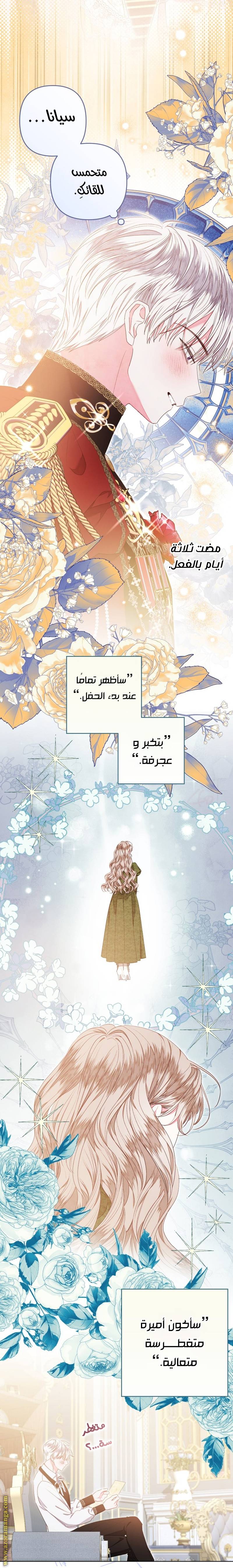 الصفحة 13