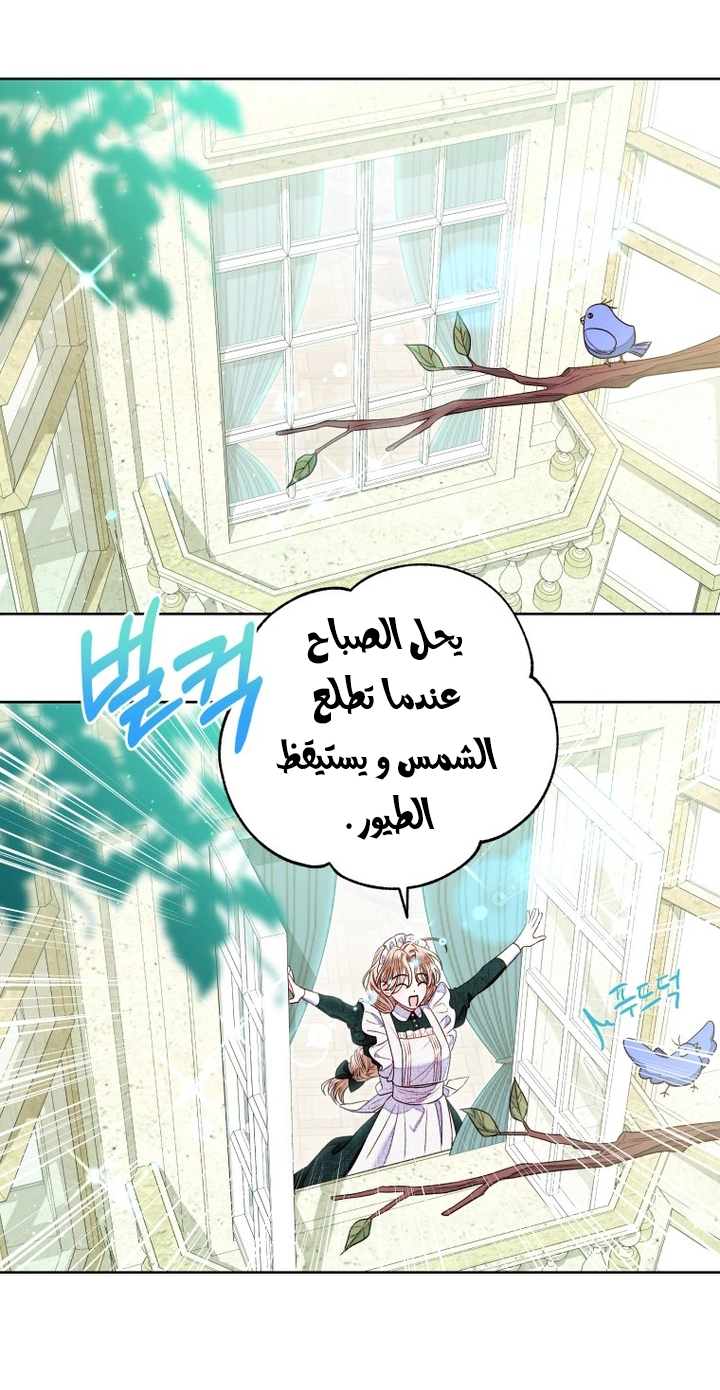 الصفحة 21