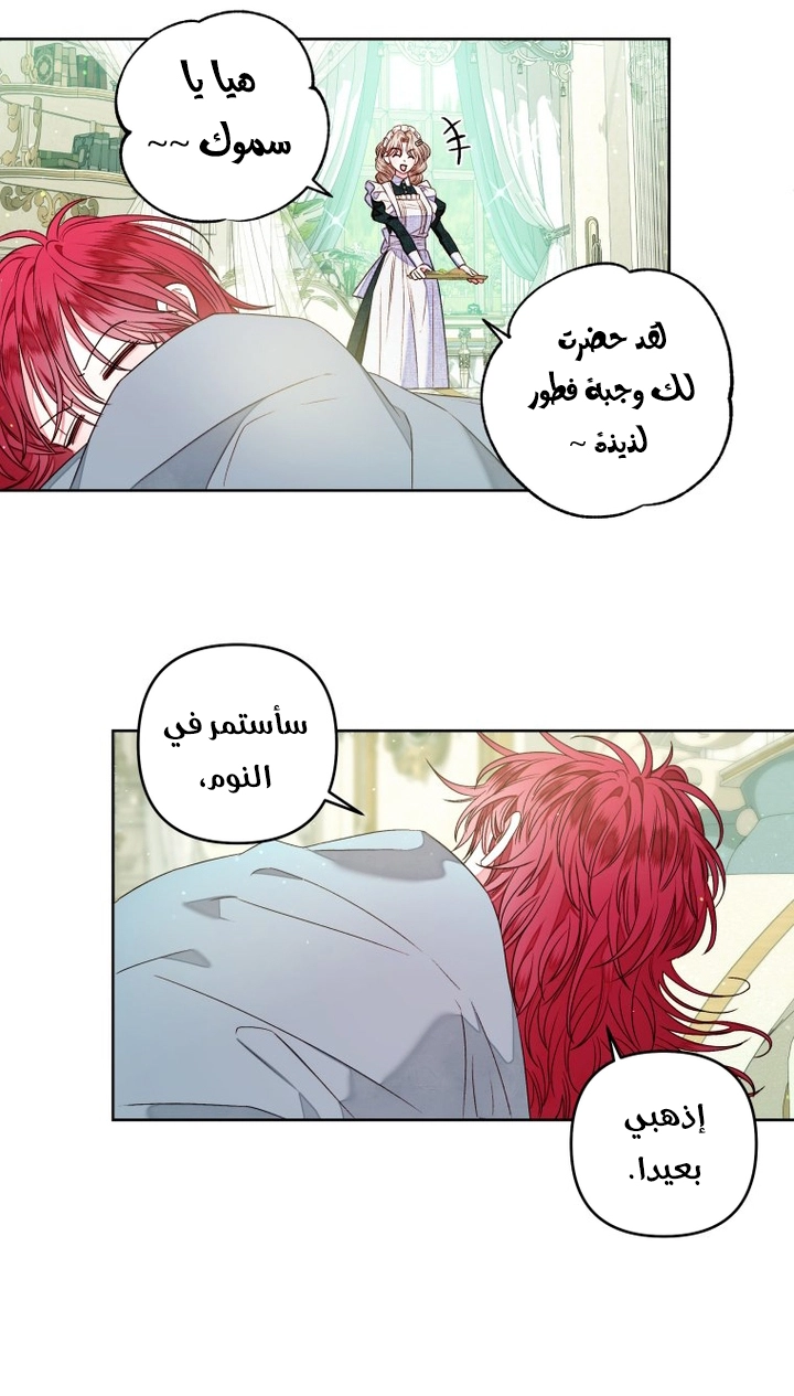 الصفحة 22
