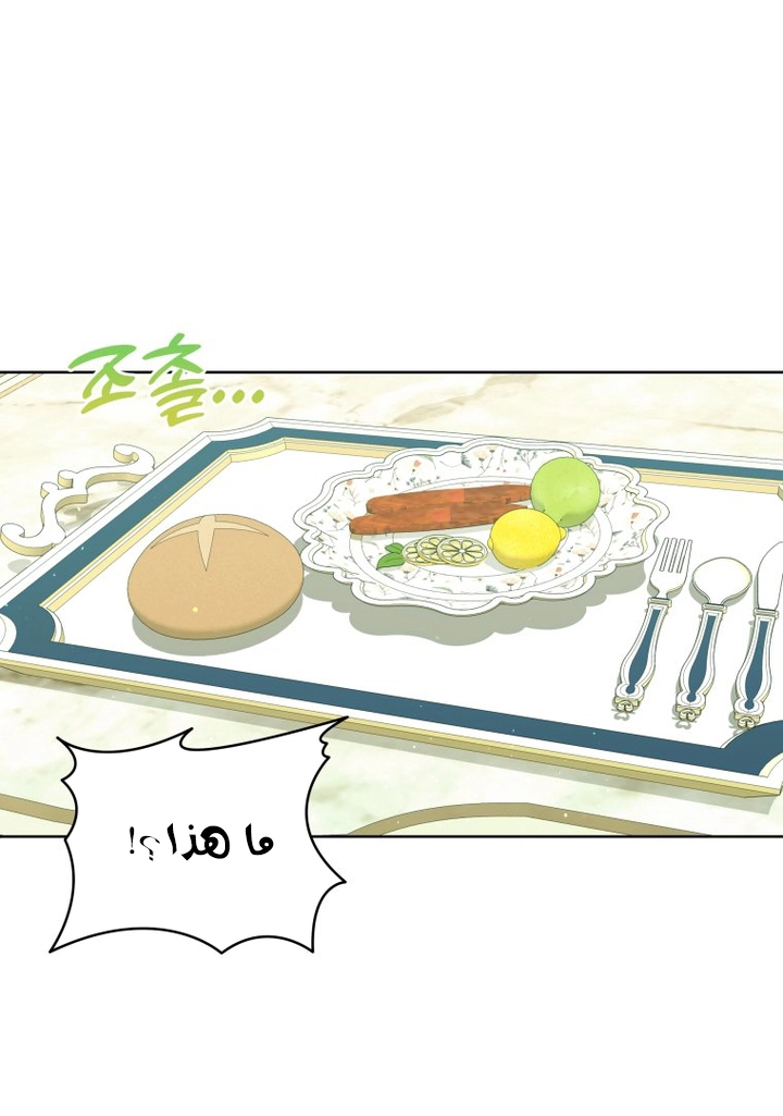 الصفحة 24