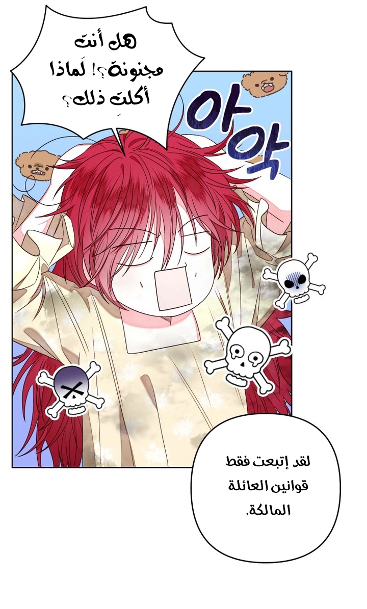 الصفحة 26