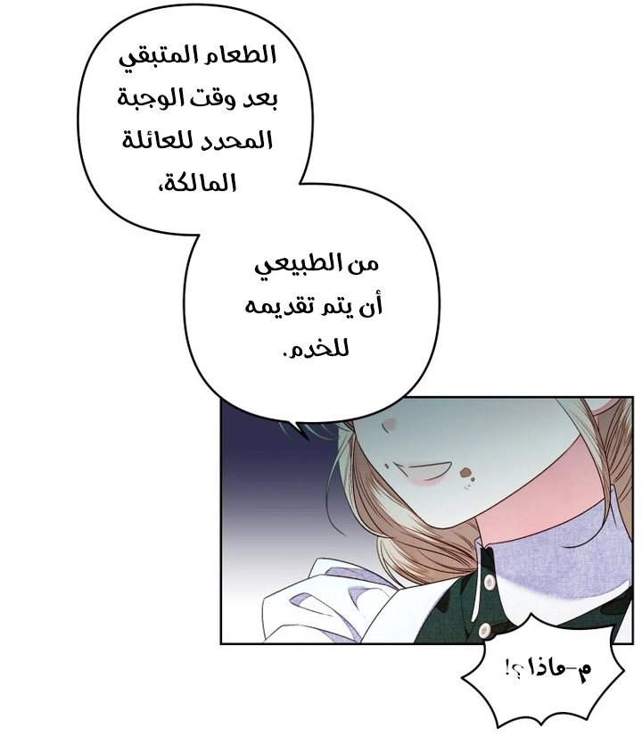 الصفحة 27