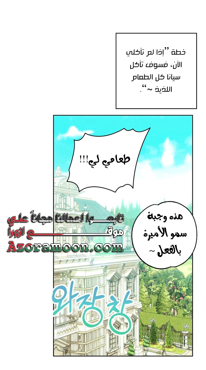 الصفحة 29