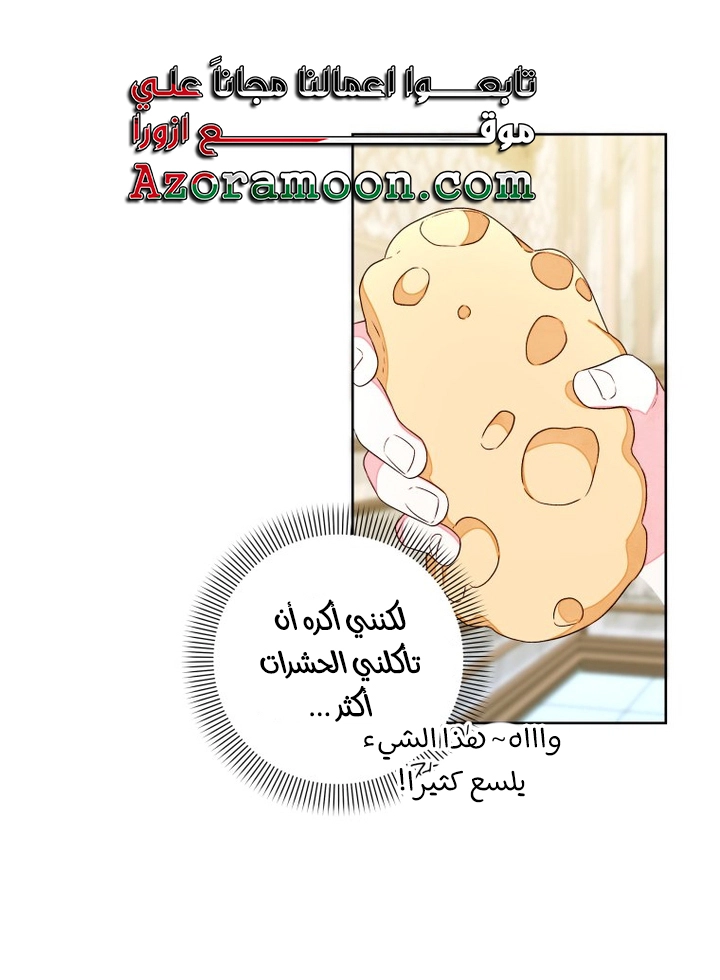 الصفحة 43