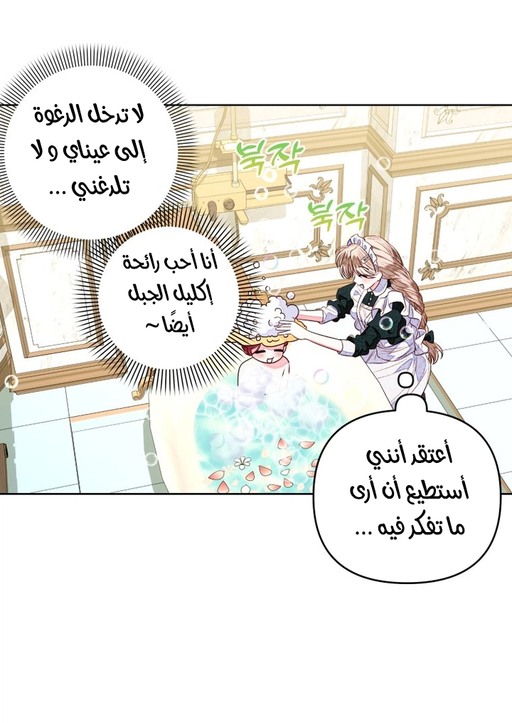 الصفحة 45
