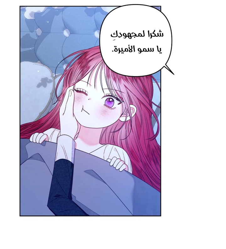 الصفحة 48