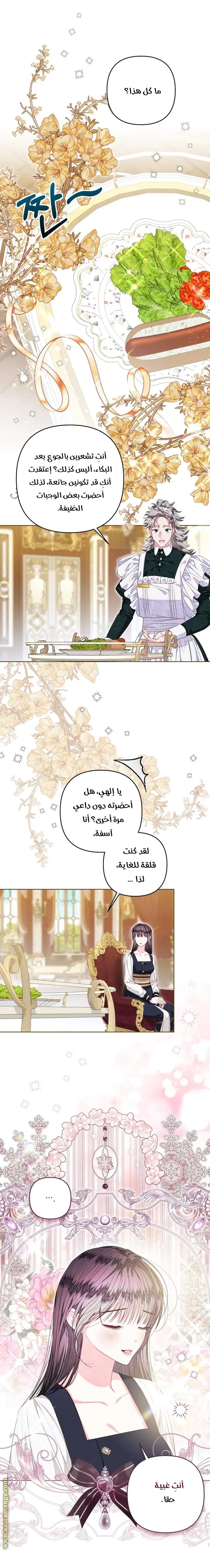 الصفحة 17