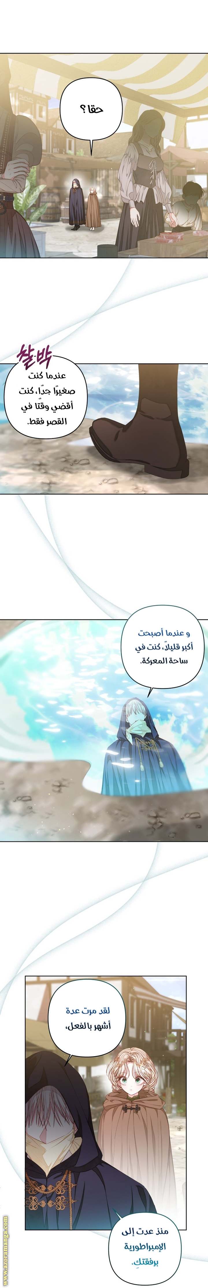 الصفحة 17
