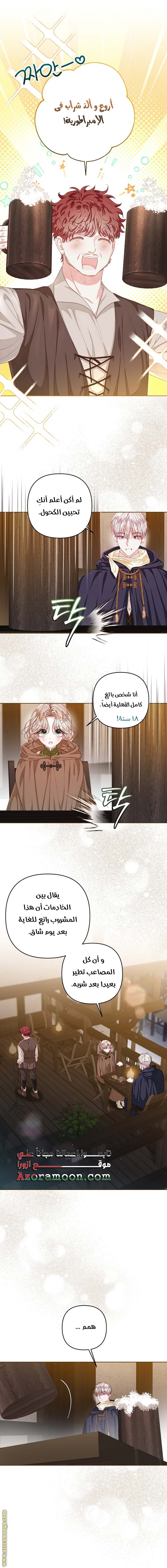 الصفحة 25