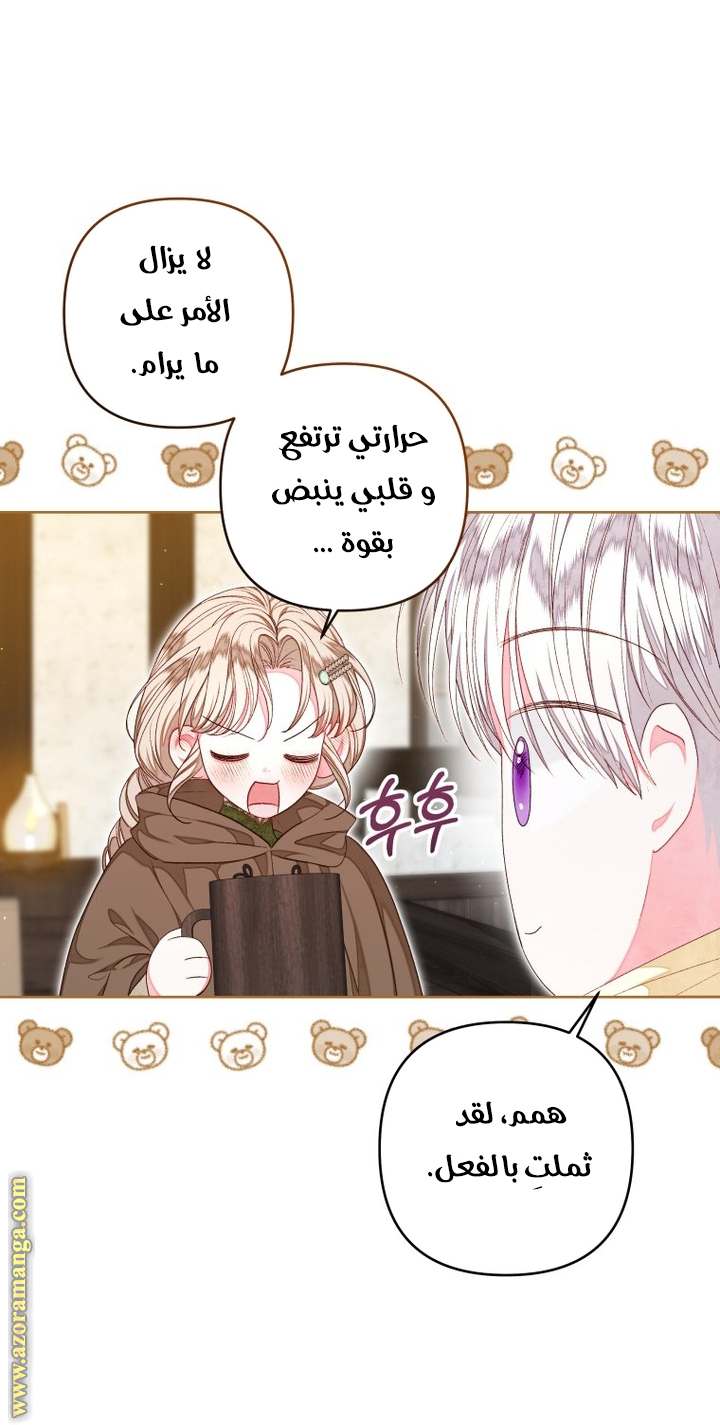 الصفحة 29