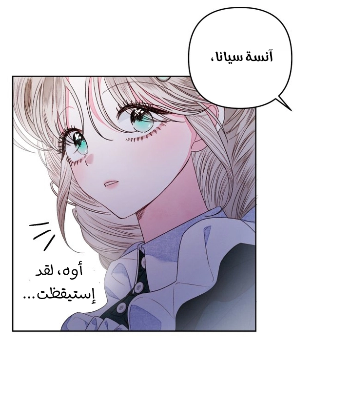 الصفحة 23