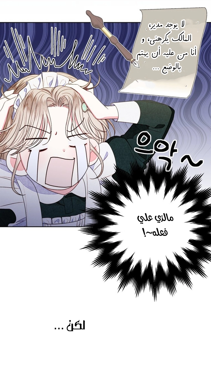 الصفحة 27