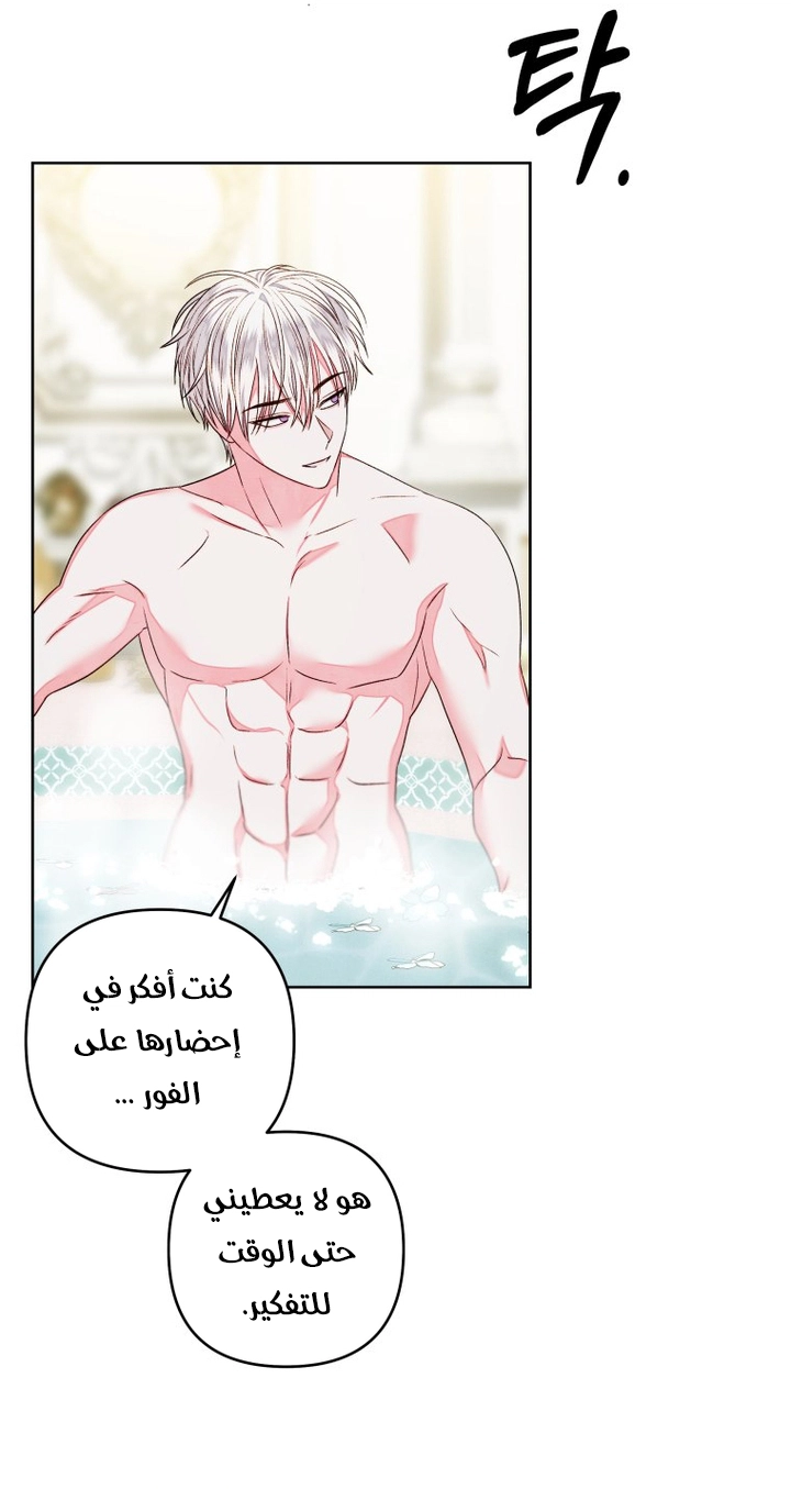 الصفحة 38