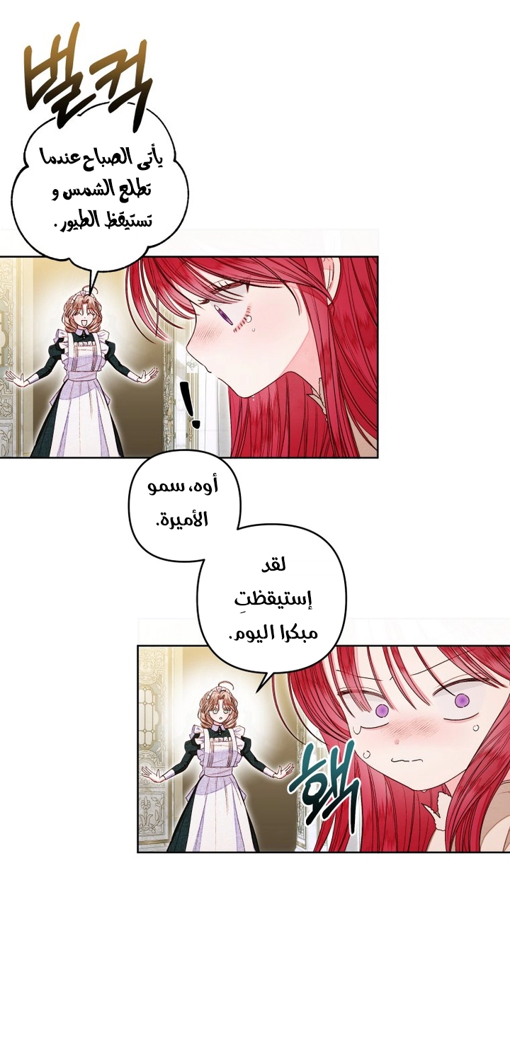 الصفحة 13