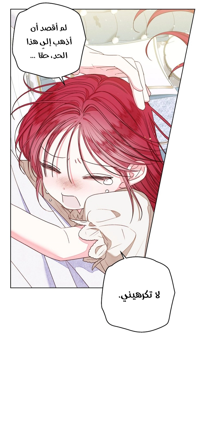 الصفحة 17