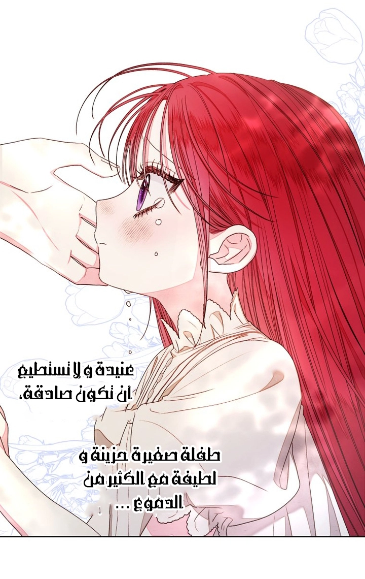 الصفحة 25