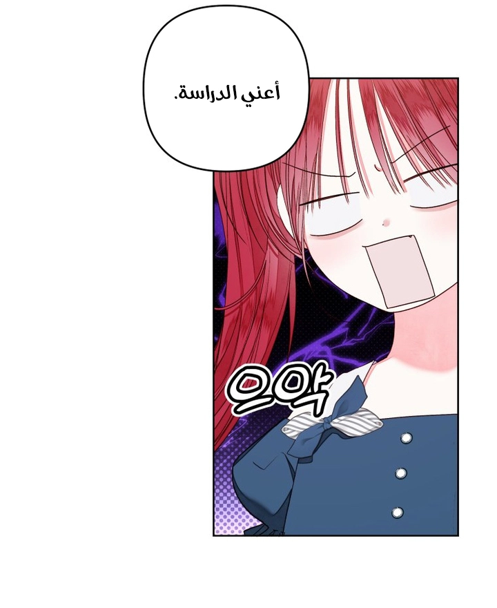 الصفحة 31