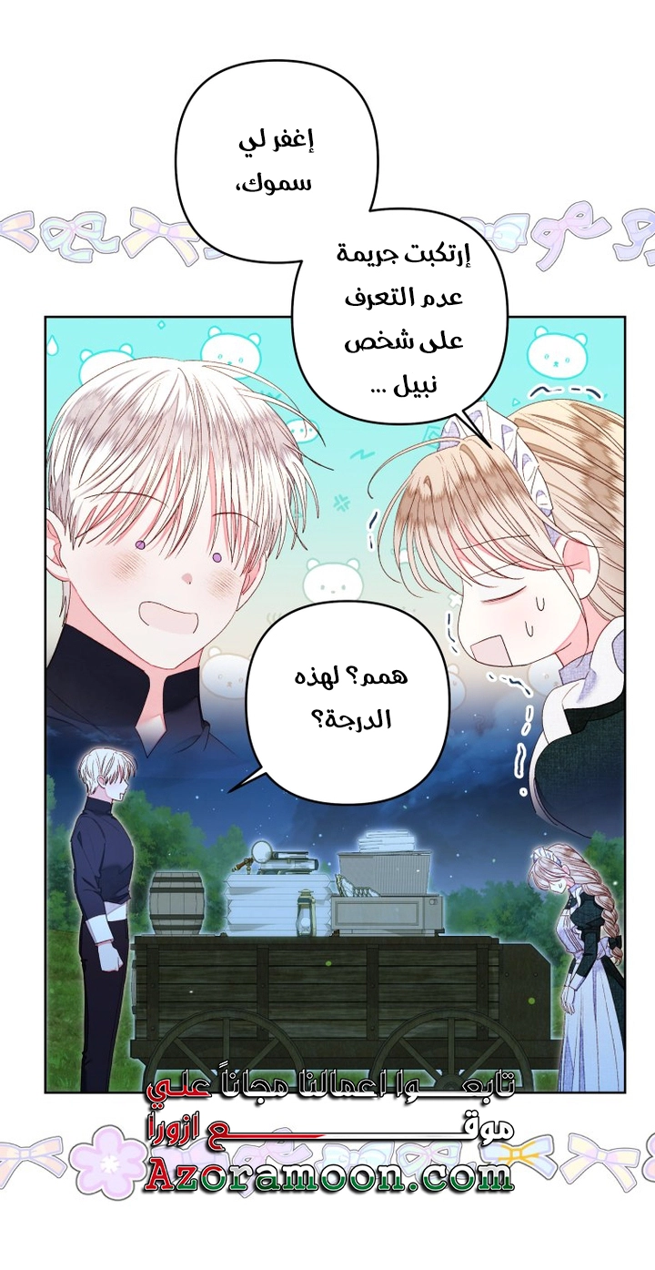 الصفحة 17