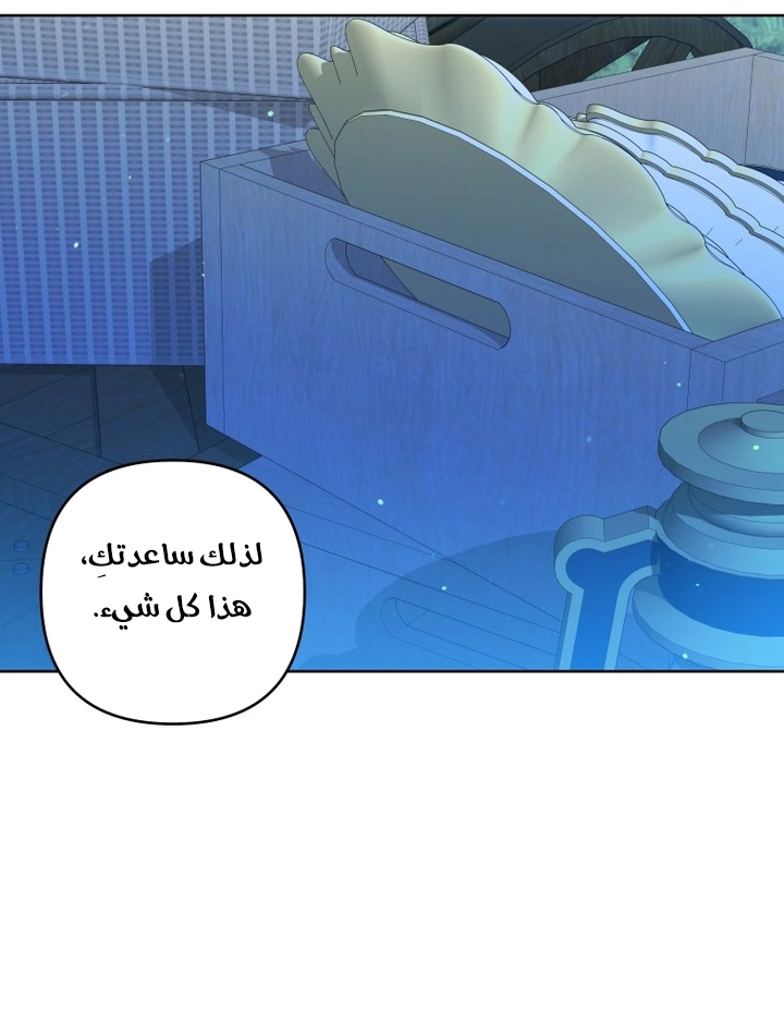 الصفحة 21