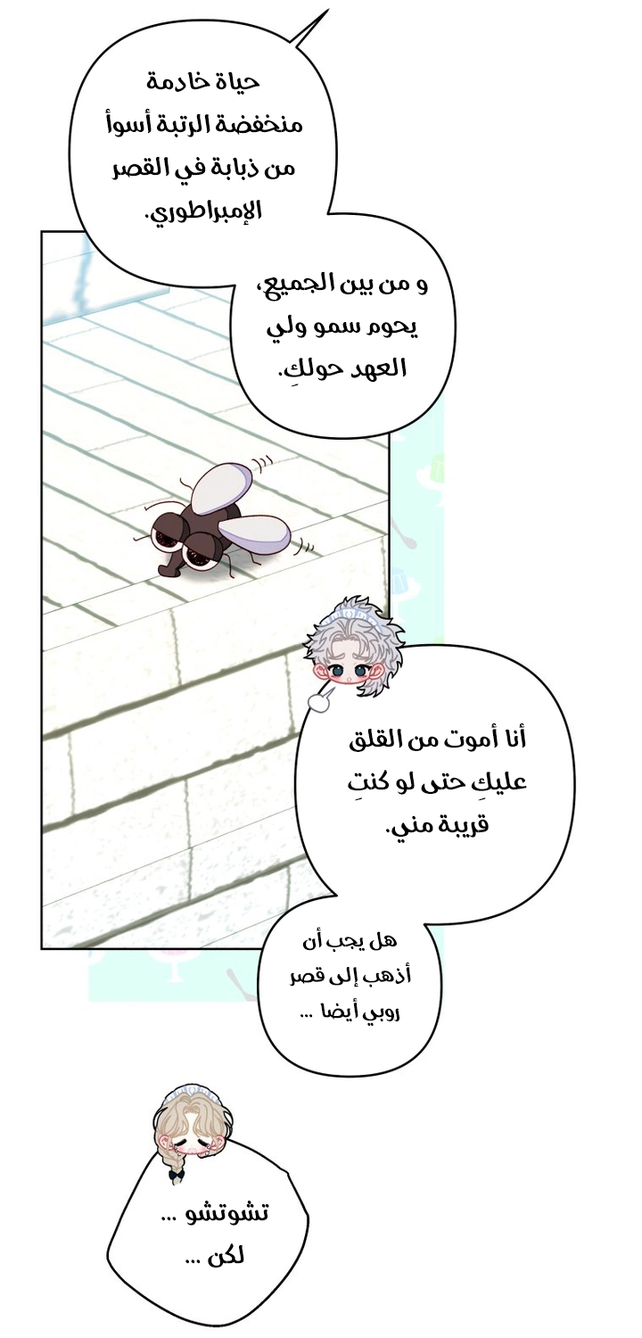 الصفحة 24