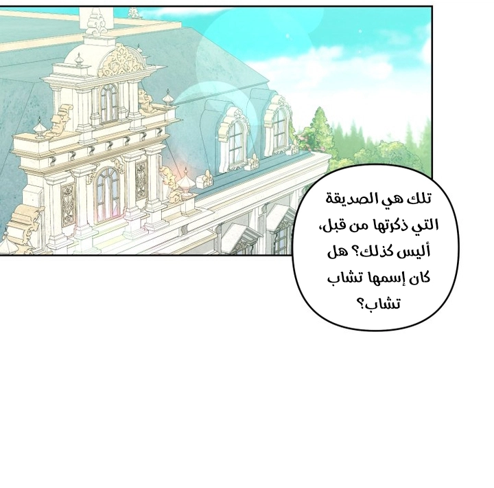 الصفحة 29