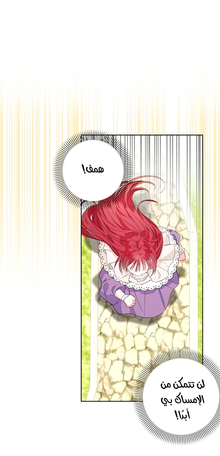 الصفحة 25