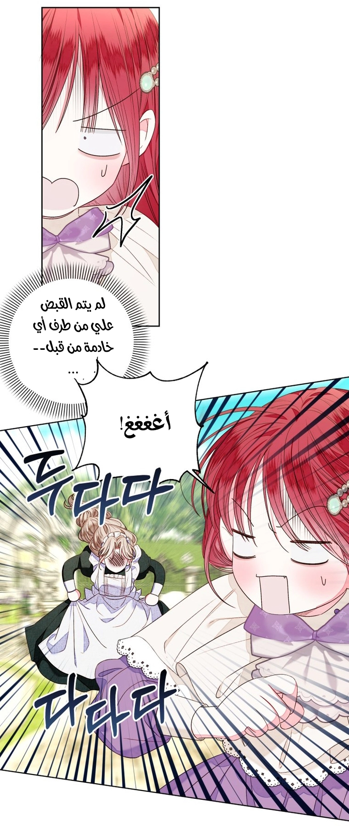 الصفحة 26