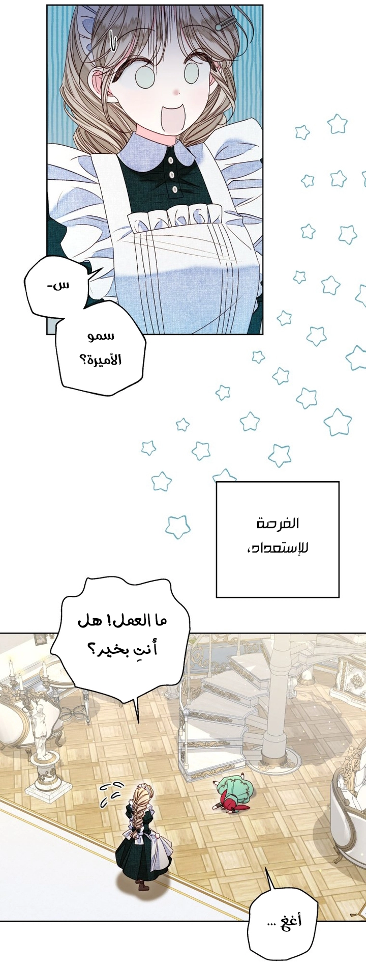 الصفحة 13