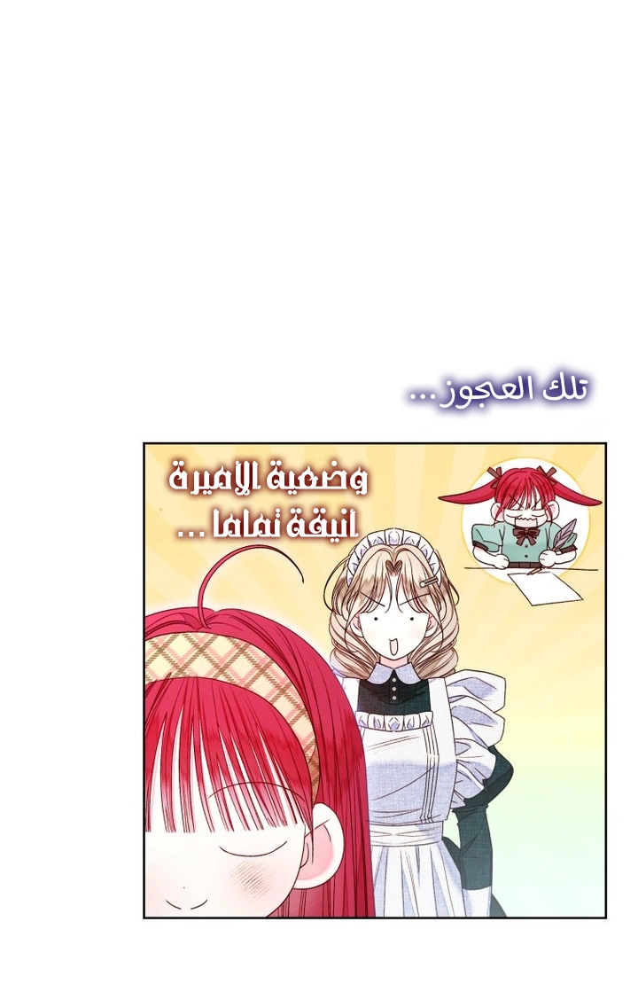 الصفحة 19