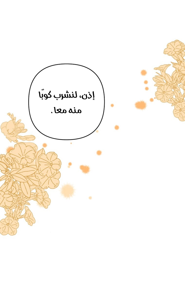 الصفحة 25