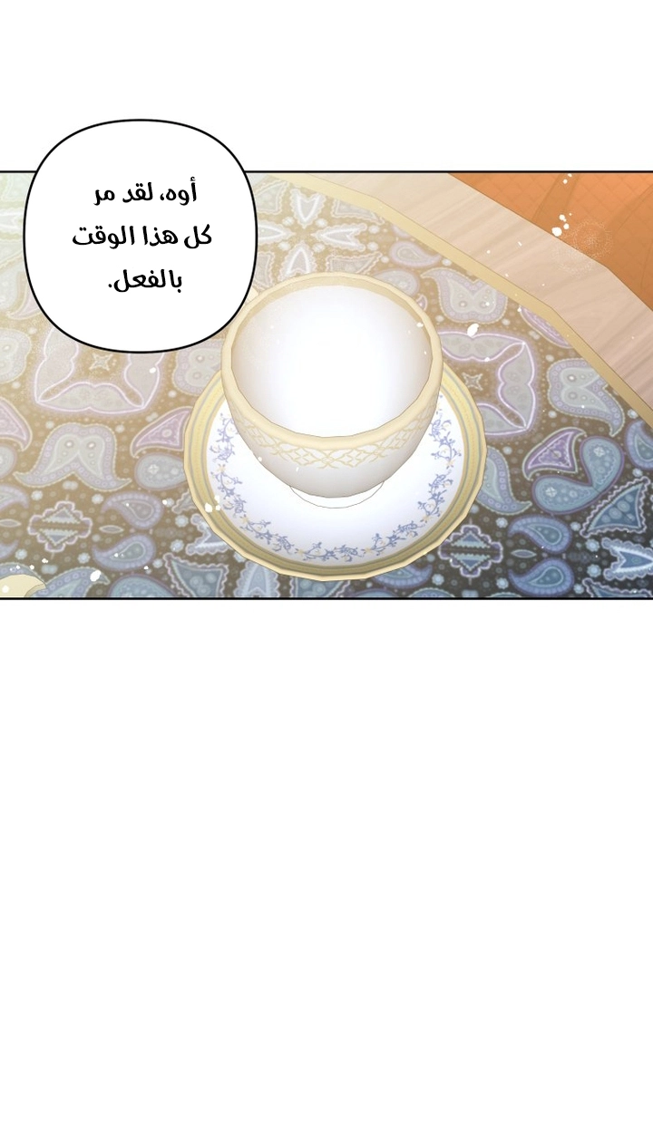 الصفحة 34