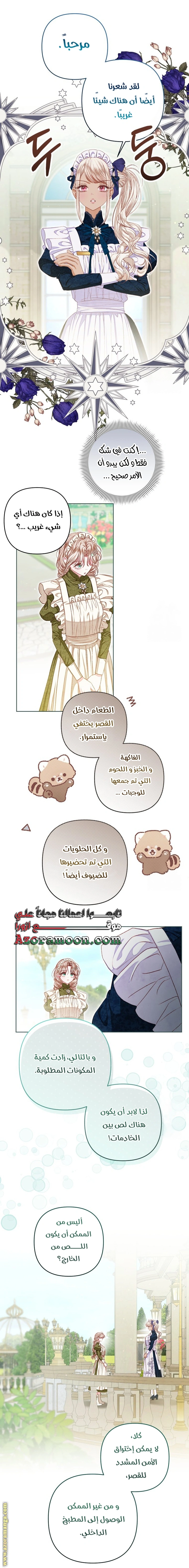 الصفحة 17