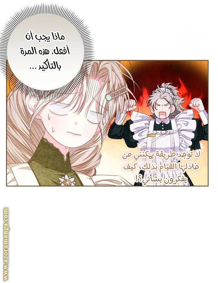 الصفحة 24