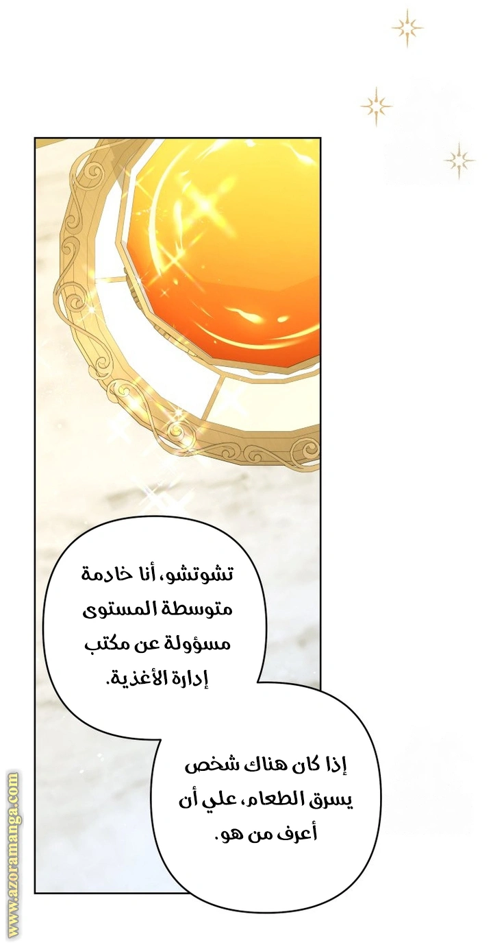 الصفحة 27