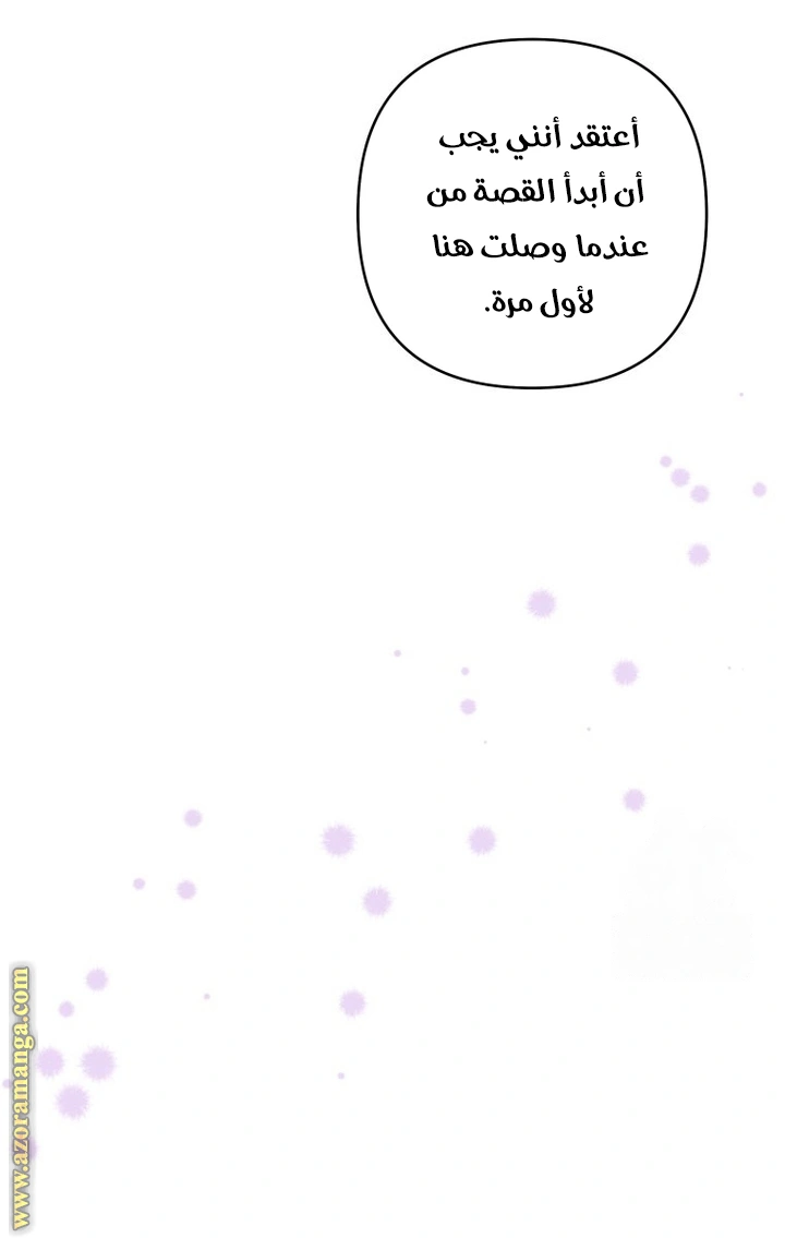 الصفحة 31