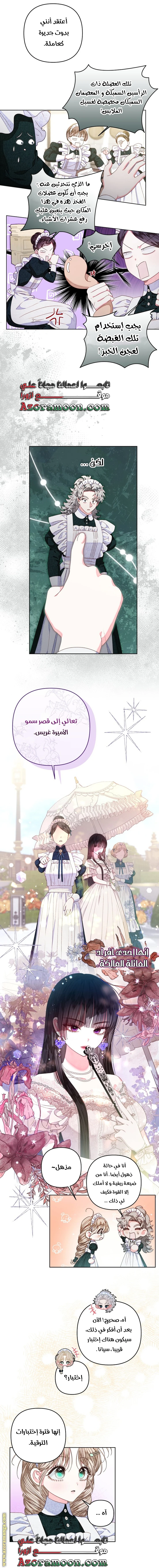 الصفحة 14
