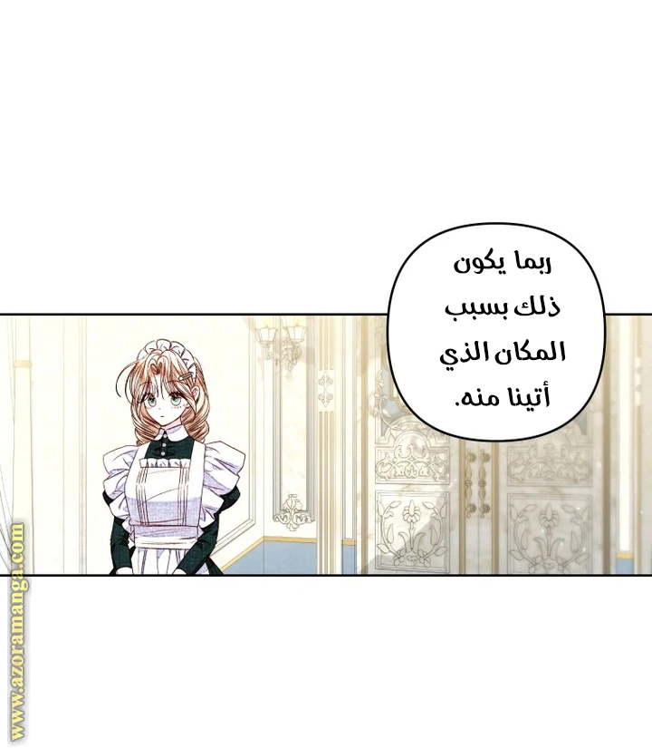 الصفحة 20