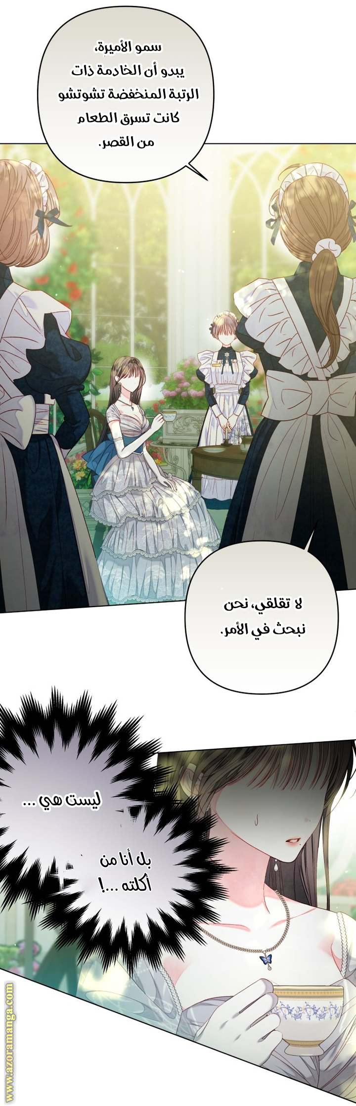 الصفحة 21